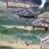 Vietnam Napalm Run