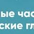 Самые частые глаголы в корейском языке Корейские слова на каждый день ЧАСТЬ 24