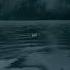Ghost Justin Bieber Slowed Lyrics Aesthetic I Ll Settle For The Ghost Of You Music