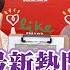 最新熱門影視劇分享 專訪 膝關節 美的世界 2025 06 23