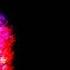Ozric Tentacles Live In London 1991