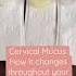 Discharge Am I Normal Cervical Mucus Changes Throughout Your Cycle Shorts