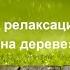 Прогрессивная мышечная релаксация для детей Сказка В домике на дереве