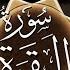 سورة البقرة I تفسير وتربيط للحفظ I يسألونك عن الخمر والميسر ربع 14