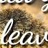 La Afareye Fi English Lyrics 720P HD