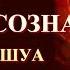 Ченнелинг ИЕШУА Часть 16 Семена Христосознания