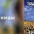 Юность 2001 Ляпис Трубецкой