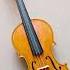 Violin Viola Cello Double Bass