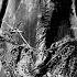 Tutankhamun S Second Coffin A Moment Frozen In Time Didyouknow History