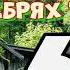 В ДЕБРЯХ ТАЙГИ ГЕОЛОГИ ОТШЕЛЬНИКИ АВТОНОМНАЯ ЖИЗНЬ С СОБАКОЙ В ЛЕСУ СЛУЧАЙ В ТАЙГЕ 6 из
