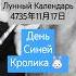 Вторник 17 Декабрь 2024 Держите Дверь Запертой