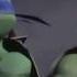 2016 TMNT Daddy