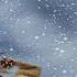 Tiny Talk 1b Unit 1 Weather
