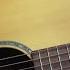 Chinese Acoustic Johnson JD 85N Solid Wood Presentation Guitar Review