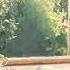 𝐏𝐎𝐕 Matcha Morning Start Your Day Routine A Slow Living Playlist For Cottage Dream