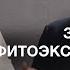 Значение фитоэкспертизы почвы