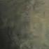 The Caretaker Libet S Delay