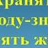Охранять природу значит охранять жизнь