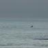 Buckethead Electric Sea Electric Sea HD
