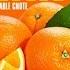 Gucci Mane Orange Prod Honorable C N O T E
