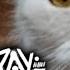 Stray ГЕЙМПЛЕЙ ПОКИНУЛ НАС Новая Игра не оправдала ожидания Первый взгляд