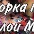 Подборка песен для фанатов Пошлой Молли песни ПОШЛОЙ Молли подборка песен Пошлой Молли