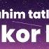 Ibrahim Tatlises Nankor Kedi English Lyrics Y U Remix TikTok Song