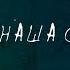 СВАДЕБНЫЕ ФУТАЖИ НАЧАЛЬНАЯ ЗАСТАВКА Full HD 1080p