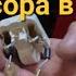 VLOG26 Расклинивание компрессора в витрине Что можно сделать если компрессор гудит и не запускается