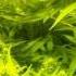 Snoop Dogg Wiz Khalifa Smokin On Feat Juicy J Explicit