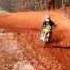 Suzuki RM 250 Long Live 2 Strokes