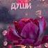 Ду а для успокоения души дуа