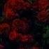 Autoheart Stalker S Tango Sped Up Nightcore