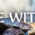 Abide With Me Instrumental Worship Prayer Music With Inspiring Bible Verses With Waterfalls