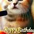 ROWAN HAPPY BIRTHDAY HAPPY BIRTHDAY SONG WITH NAMES Adorable Cute Cat Happybirthday Cake