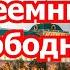 И Стрелков свара за место преемника началась
