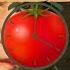 POMODORO TECHNIQUE POMODORO With MOZART EFFECT Increase Productivity Focus 25 Minute Timer