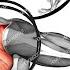 Your Six Pack Abs Are Hidden By Belly Fat Take It Out In Two Weeks