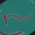 Lg Logo 1995 Nameless Effect Weird Code G Major 4