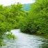 TROUT TOWNS EP 19 Coudersport PA