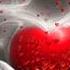 I Ll Miss You Amanda Lear