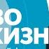 Премьера документального сериала Право на жизнь