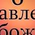 Абу мусаб Шесть наставлений единобожникам