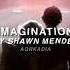 Imagination Shawn Mendes Edit Audio