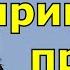 Народные приметы про аистов