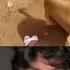Mr Bombastic Bomba Fantastic Mr Bombastic Bombastic Eviloogway Eviloogway Funny Shorts Viral
