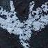 The Dark Knight Rises Official Soundtrack Born In Darkness Hans Zimmer WaterTower