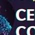 Матрица Гаряева для Сердца и Сосудов Новая 2025 Оригинальная Звуковой массаж Сердечной Чакры
