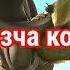 Кыргызча котормо муз доору хаха