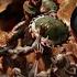 DOOM The Dark Ages Official Trailer 2 Reaction